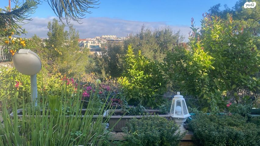 מוצא הקטנה 45