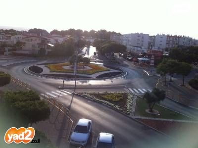 החשמונאים 24