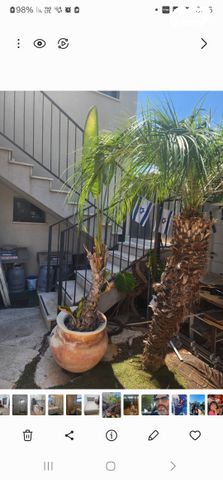 יחידת דיור, הקונגרס 67, קרית חיים מערבית, חיפה