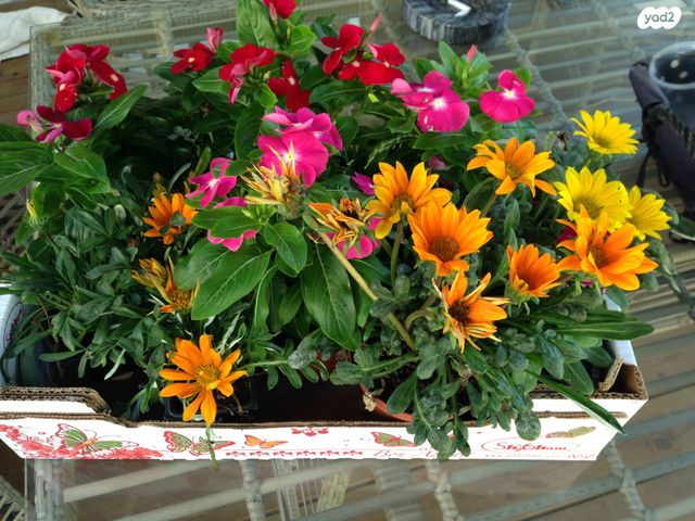 יחידת דיור, מדינת היהודים 50, הרצליה פיתוח, הרצליה