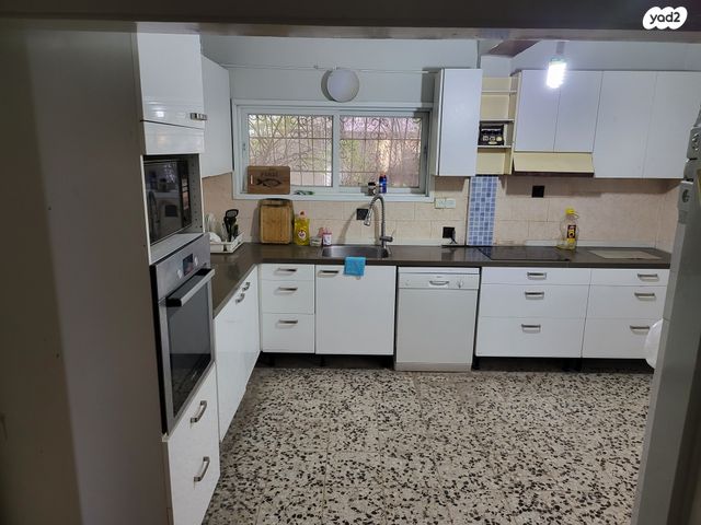 יחיאל מיכל פינס 36