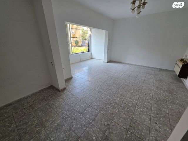 דוד וולפסון 48