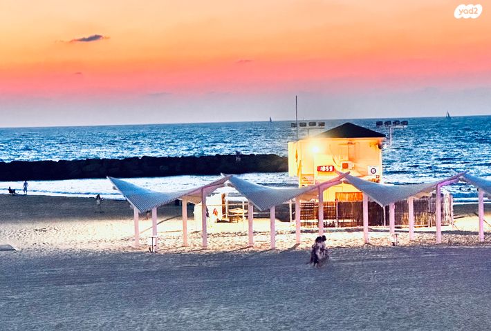 מדינת היהודים 50