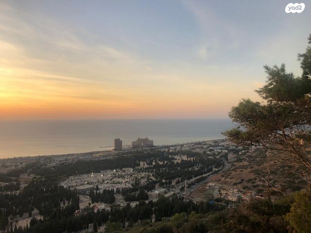 בית פרטי/ קוטג', ויצ"ו 18, כרמליה, חיפה