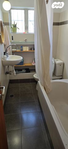 דירה, שפרינצק, נווה זית, לוד