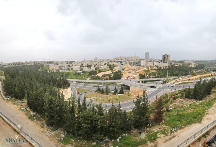 הרב רפאל ברוך טולדנו 