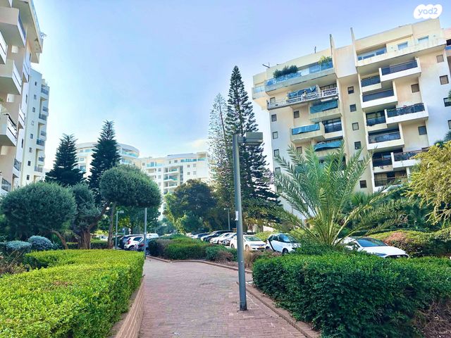 שאול אביגור 