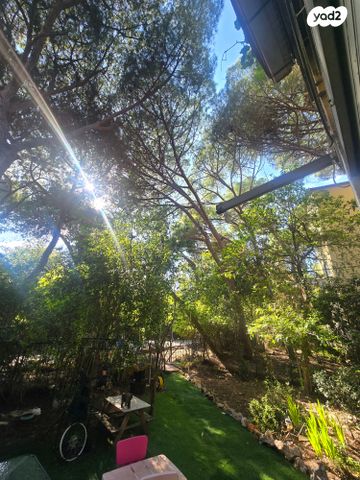 דירה, יוכבד, נעמ"ת, חיפה