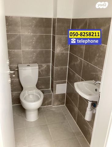 דירה, היוצרים, עיר היין, אשקלון