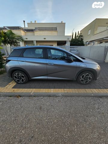 בי.ווי.די דולפין