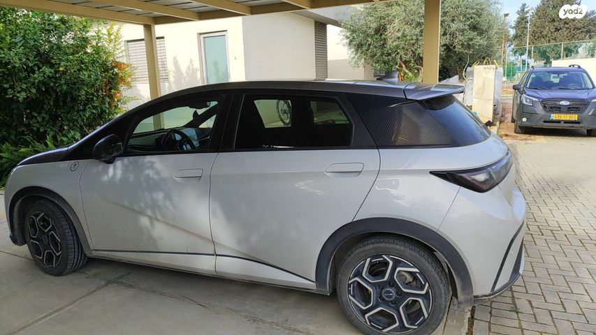 מודעת רכב בי.ווי.די דולפין