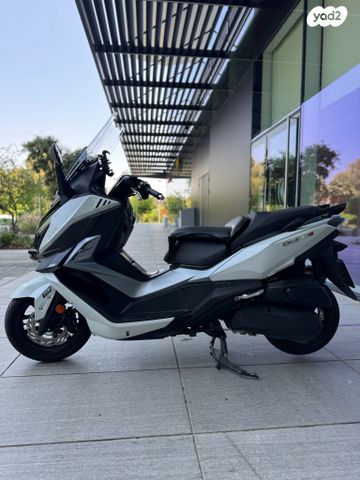 סאן יאנג קרוזים 300 אלפא