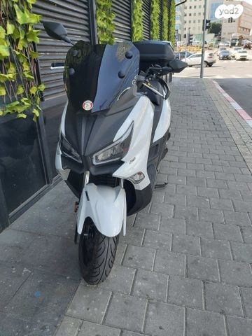 סאן יאנג ג'וי-מקס Z-250