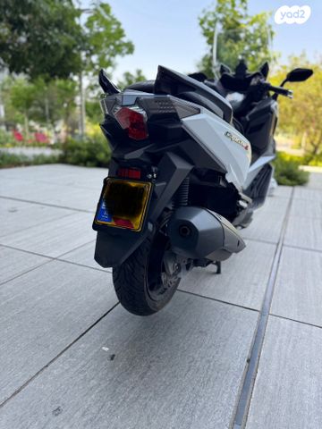 סאן יאנג קרוזים 300 אלפא