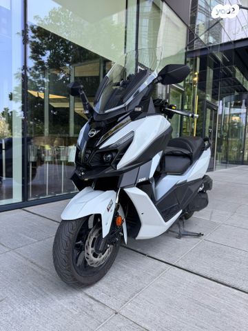 סאן יאנג קרוזים 300 אלפא