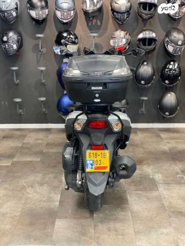 סאן יאנג ג'וי-מקס Z-300