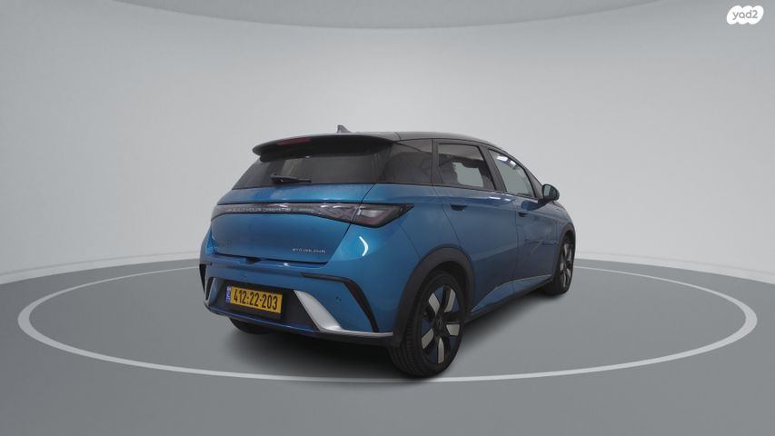 בי.ווי.די דולפין