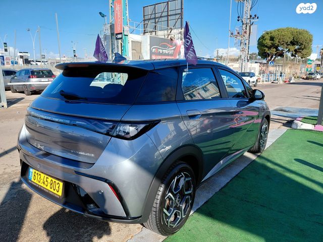 בי.ווי.די דולפין