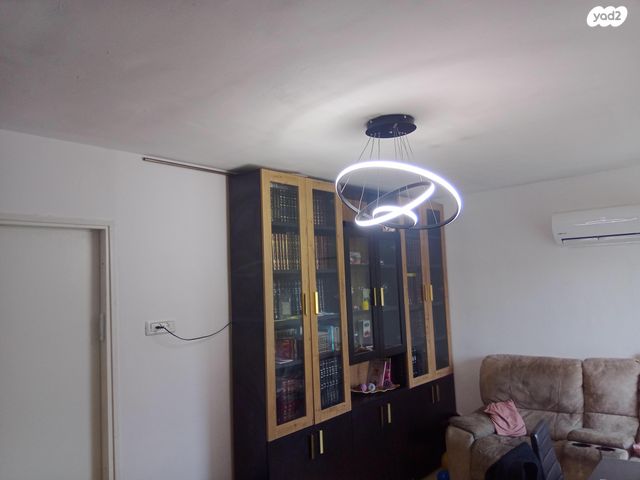 זלמן שז"ר 216