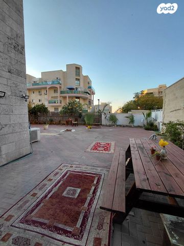 עוזי נרקיס 4