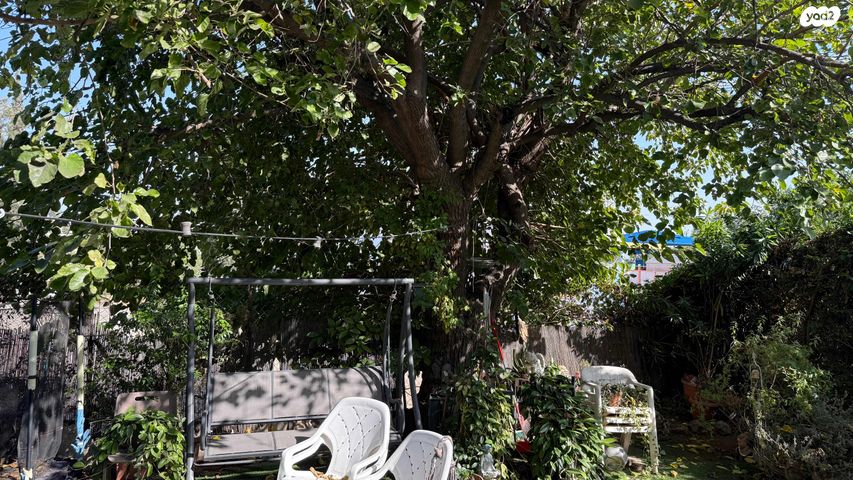 בית פרטי/ קוטג', שמעיה 6, נאות יהודית ונווה ארזים, חולון