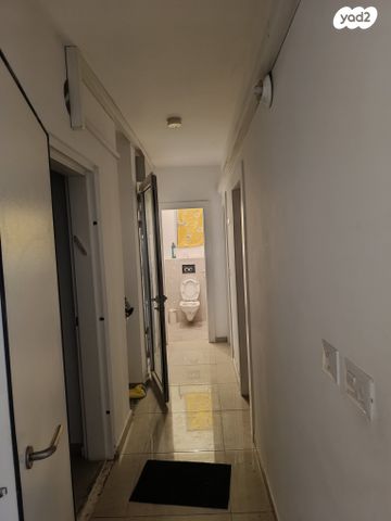 שבעת המינים 12