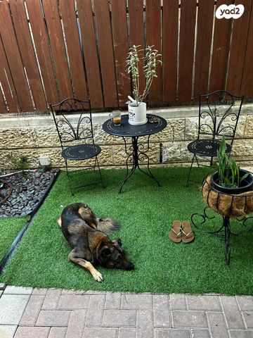 בית פרטי/ קוטג', רבי יהודה 9, גבעת אביב, גדרה