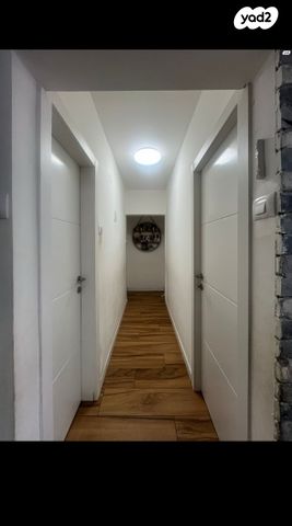 אריה דולצ'ין 13