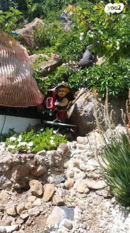 בית פרטי/ קוטג', קלע, קלע, קלע