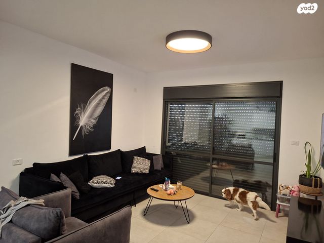 עין המערה 11