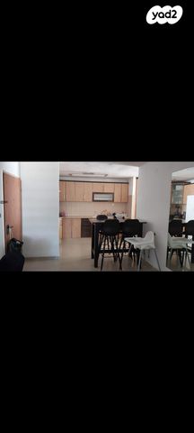 אריה בן אליעזר 11