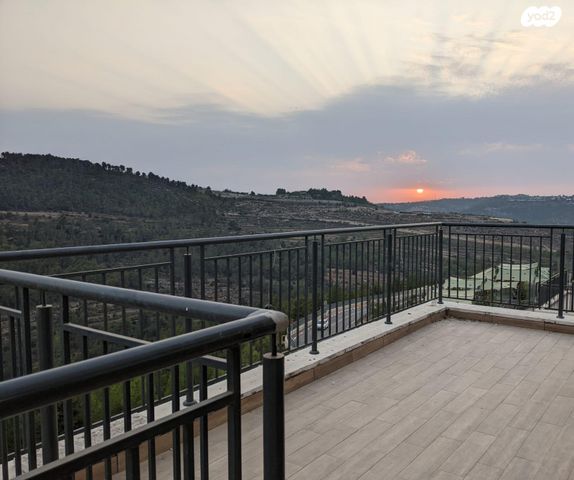 אבנר חי שאקי 43