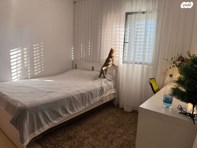 מקווה ישראל 4