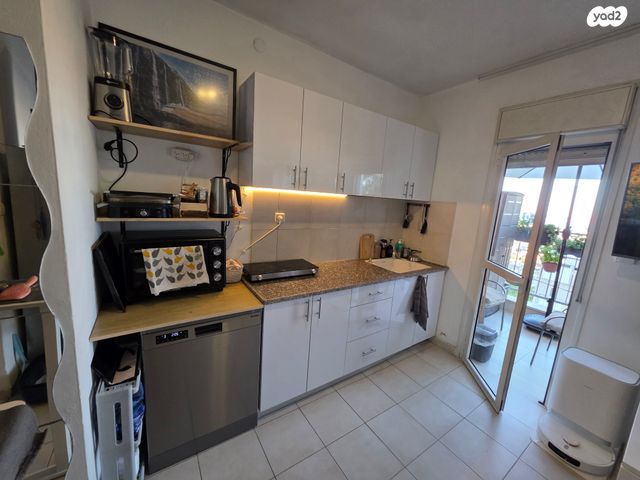 דוד רזיאל 54