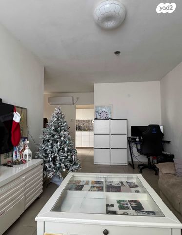 זלמן שניאור 39