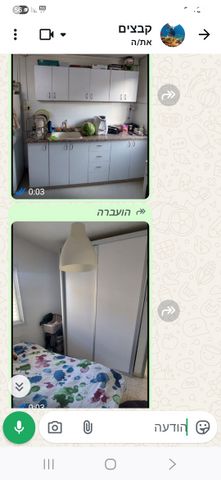 צבי סגל 31