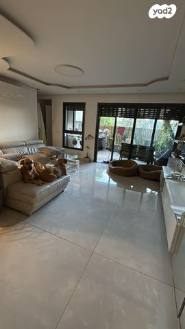 מעפילי אגוז 92