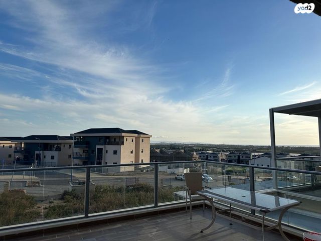 חורשת האקליפטוס 116