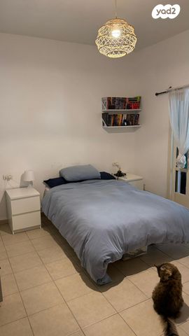 החשמונאים 14