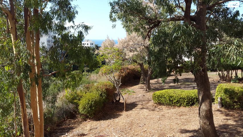 דירה, אדמונד פלג 36, רמת שאול, חיפה