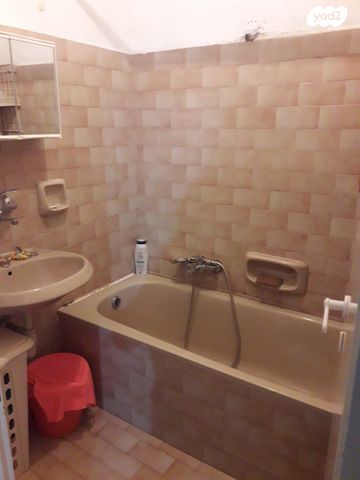 מבצע ברוש 1019