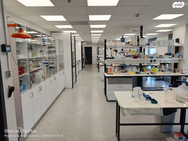 משרדים, פרופ' הלל וחנן אופנהיימר 4, פארק תמר, רחובות