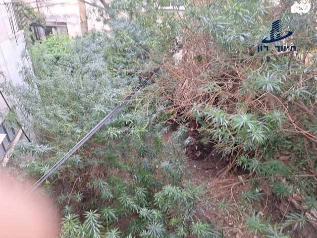 דירה, שינקין, גבעתיים