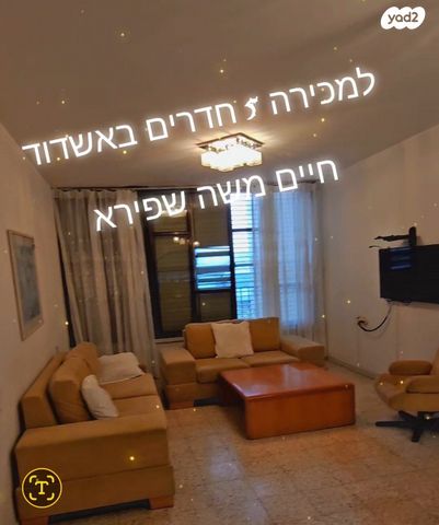 חיים משה שפירא 