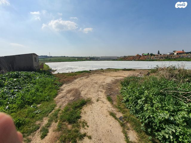 משק חקלאי/ נחלה, שדה דוד