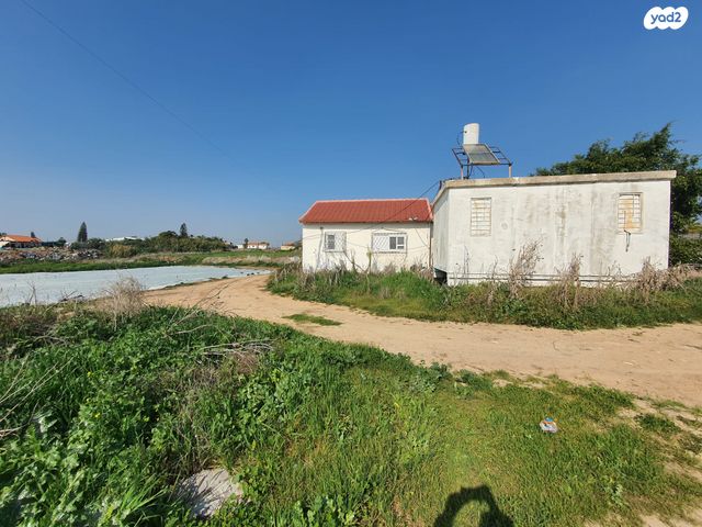 משק חקלאי/ נחלה, שדה דוד
