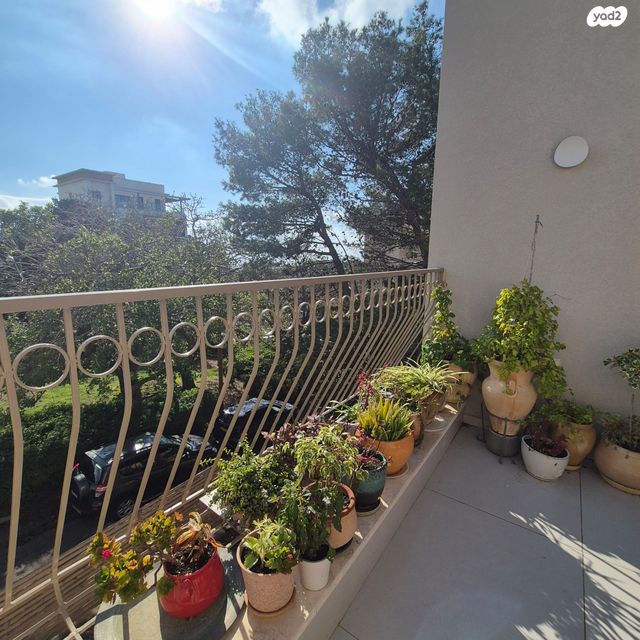 דירה, צפרירים, כרמליה, חיפה