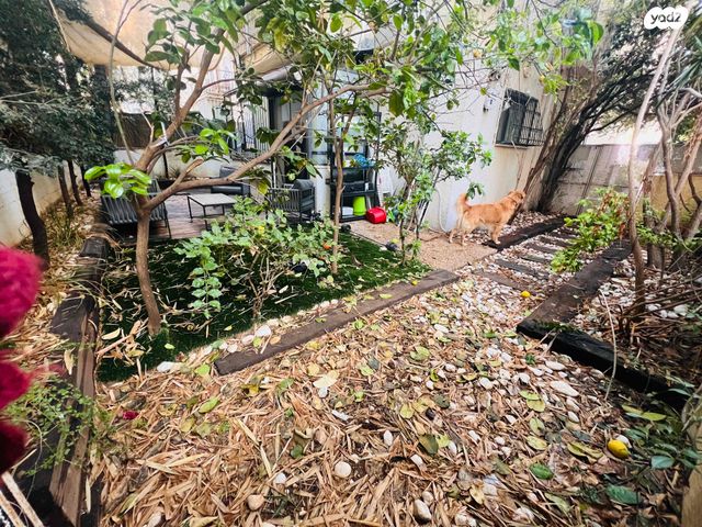 דירת גן, בן יהודה 211, הצפון הישן - צפון, תל אביב יפו