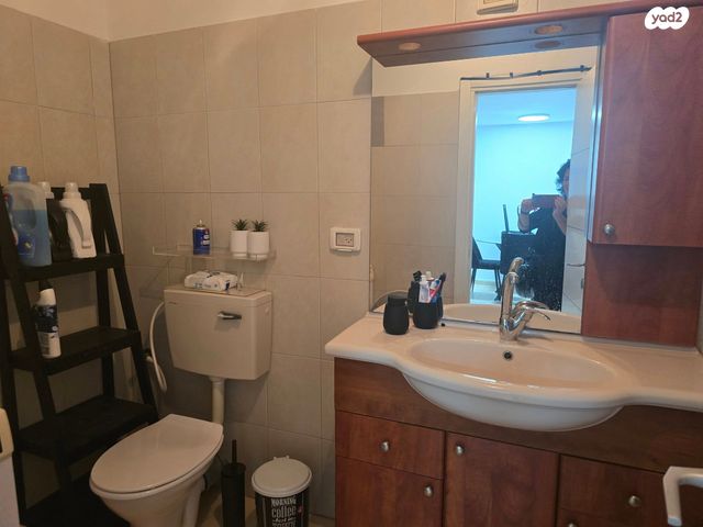 דירת גן, ישראל פרנקל, המרכז האזרחי, רמלה