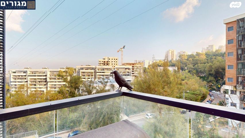 דירה, זלמן שניאור, רמות רמז, חיפה